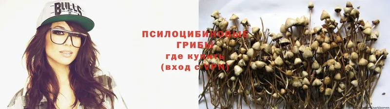 Галлюциногенные грибы MAGIC MUSHROOMS  Ноябрьск 